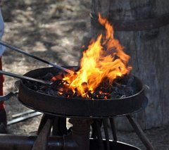 DSC_0269 (2)